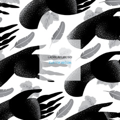 obálka: Svätým mečom