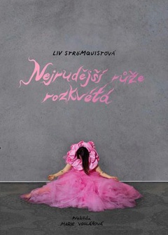 obálka: Nejrudější růže rozkvétá