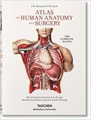 obálka: Atlas of human anatomy and surgery