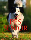 obálka: Pes senior