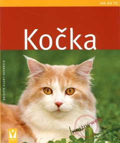 obálka: Kočka 