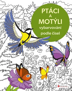 obálka: Vybarvování podle čísel: Ptáci a motýli