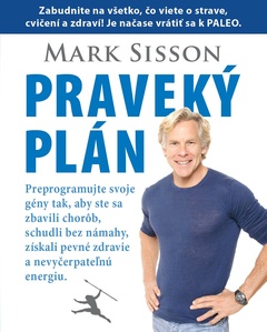 obálka: Praveký plán