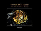 obálka: Metamorfóza ľadu / Ice Metamorphosis