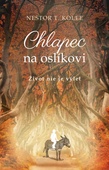 obálka: Chlapec na oslíkovi