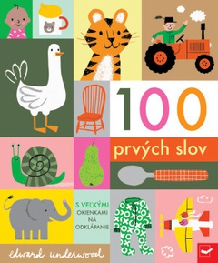 obálka: 100 prvých slov