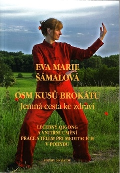 obálka: Osm kusů brokátu