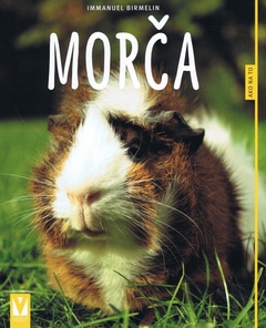 obálka: Morča- ako na to