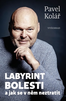 obálka: Labyrint bolesti