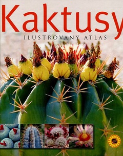 obálka: Kaktusy