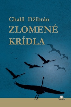 obálka: Zlomené krídla