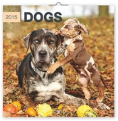 obálka: Psi - nástěnný kalendář 2015