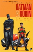 obálka: Batman a Robin 1