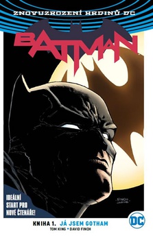 obálka: Batman - Já jsem Gotham