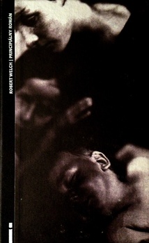 obálka: Principiálny román