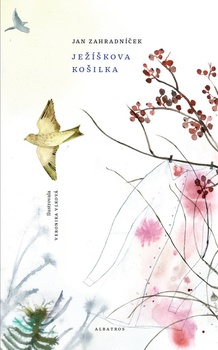 obálka: Ježíškova košilka