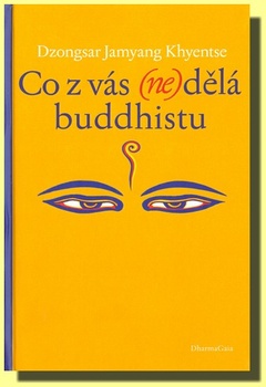 obálka: Co z vás - nedělá buddhistu