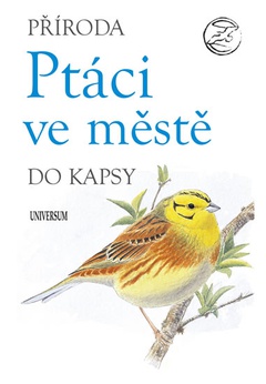 obálka: Ptáci ve městě