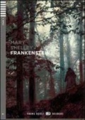 obálka: Frankenstein (B2)