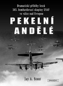 obálka: Pekelní andělé - Dramatické příběhy letců 303. bombardovací skupiny USAF ve válce nad Evropou