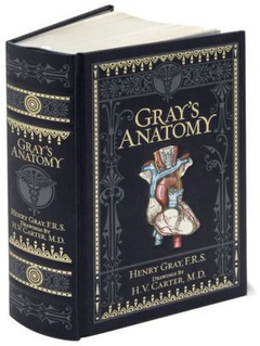 obálka: Grays Anatomy