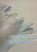 obálka: Agnesa Sigetová