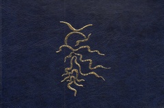 obálka: Čítanie ako experiment so šťastím