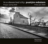 obálka: Pustým městem / In a Deserted City