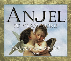 obálka: Anjel po vašom boku