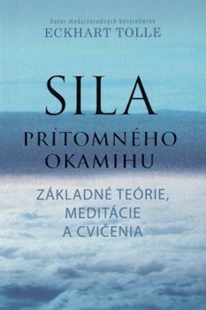 obálka: Sila prítomného okamihu - Základné teórie, meditácie a cvičenia