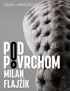 obálka: Pod povrchom - Milan Flajžík
