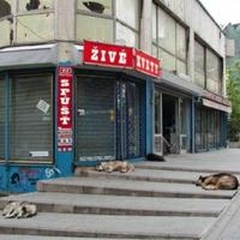 obálka: Živé kvety: Spúšť