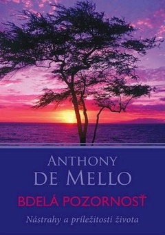 obálka: Bdelá pozornosť