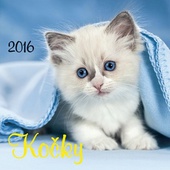 obálka: Kočky 2016 - nástěnný kalendář