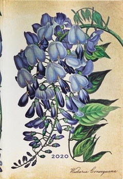 obálka: Diář Blooming Wisteria 2020 HOR