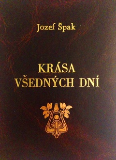 obálka: KRÁSA VŠEDNÝCH DNÍ