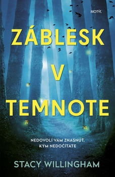 obálka: Záblesk v temnote