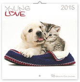 obálka: Young Love Koťata & Štěňata - nástěnný kalendář 2015