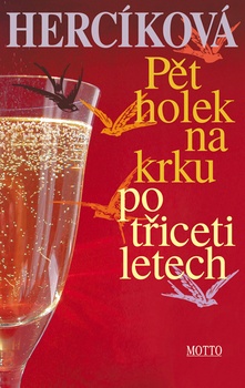 obálka: Pět holek na krku po třiceti letech