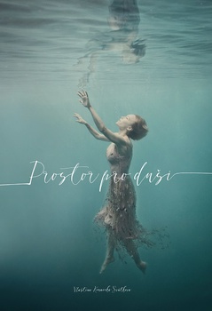 obálka: Prostor pro duši