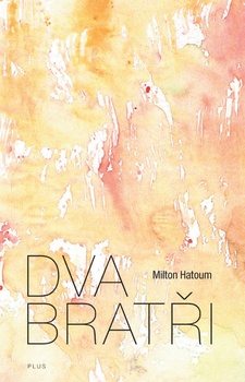 obálka: Dva bratři