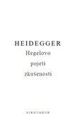 obálka: Hegelovo pojetí zkušenosti
