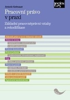 obálka: Pracovní právo v praxi