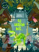 obálka: Co skrývá noc