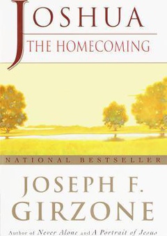 obálka: Joshua: The homecoming