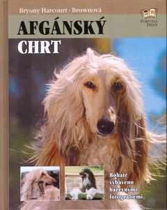obálka: Afgánský chrt