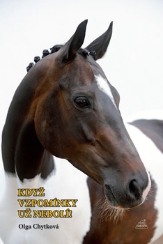 obálka: Když vzpomínky už nebolí!