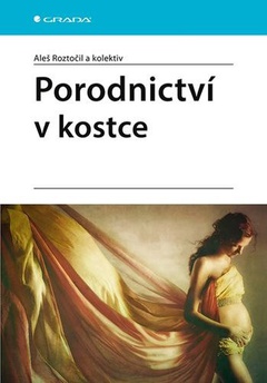 obálka: Porodnictví v kostce
