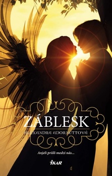 obálka: Záblesk (Záblesk 1)