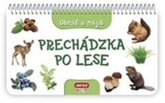 obálka: Prechádzka po lese (slovenské vydanie)